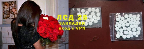 гидра Зеленодольск