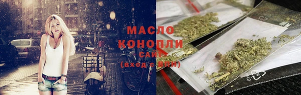 гидра Зеленодольск