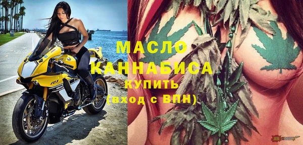 гидра Зеленодольск