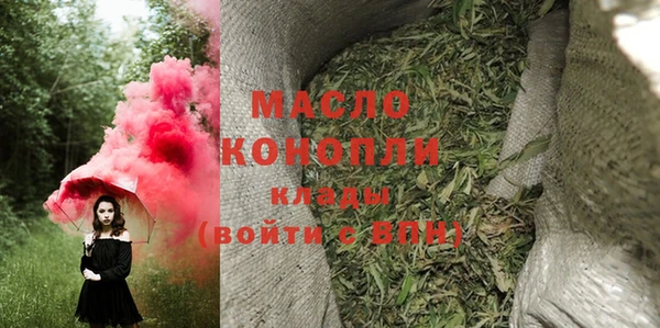 гидра Зеленодольск