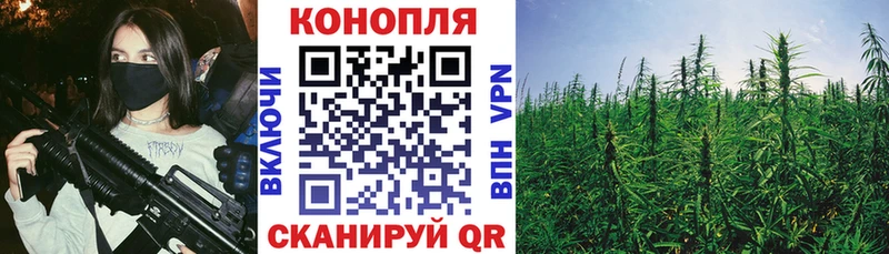 Бошки Шишки ГИДРОПОН  Купить закладки  Кушва 
